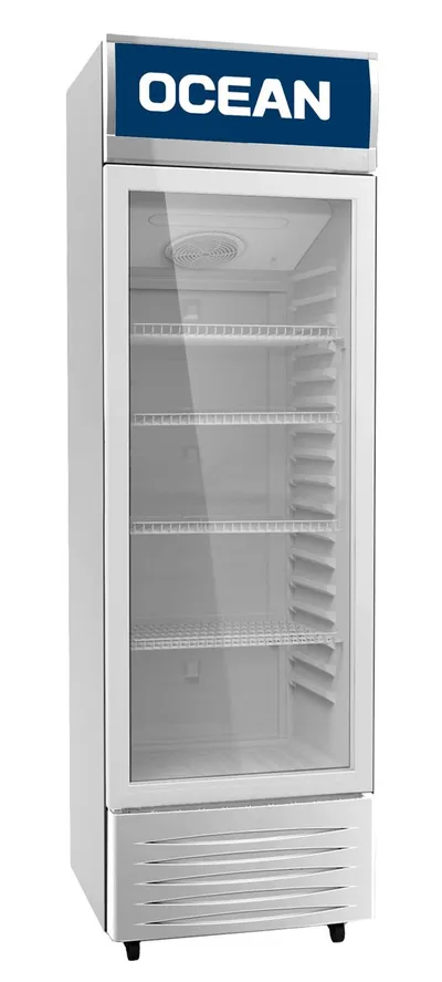 Vitrine réfrigérée boissons Ocean 1 porte 335 L