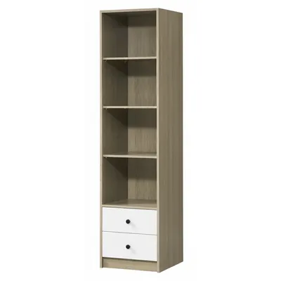 Bibliothèque 9802, étagère 50×50×200 cm