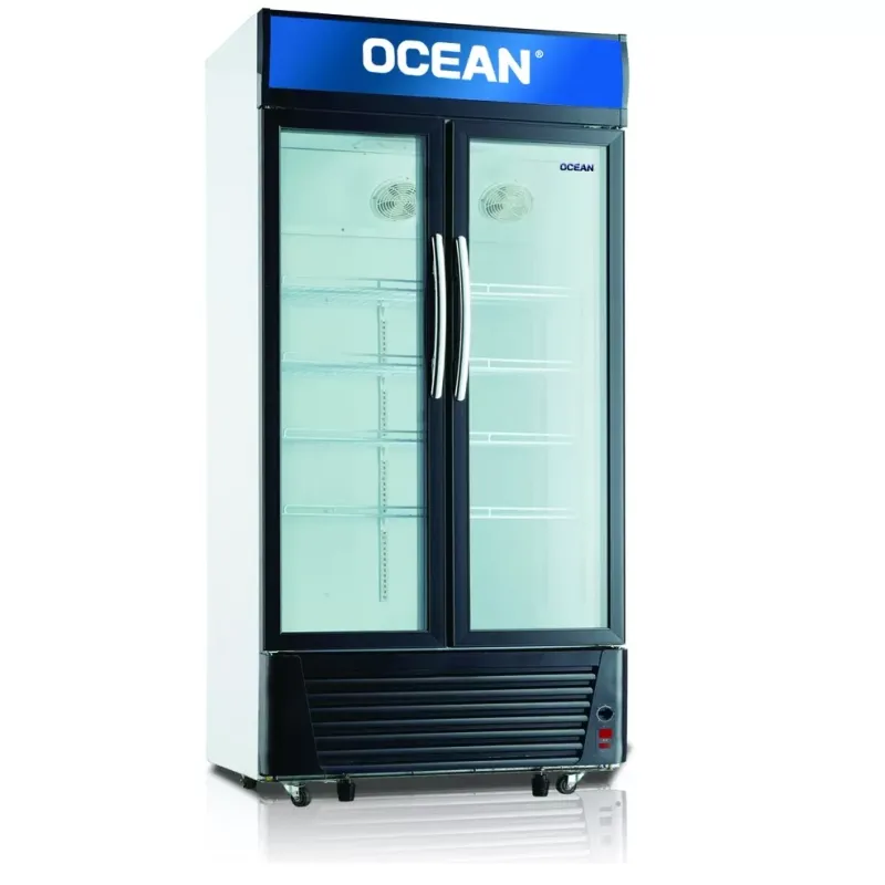 Réfrigérateur vitrine 2 portes 550L Ocean OBCH650 noir