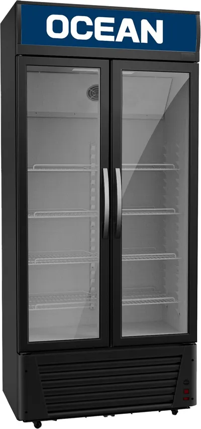 Vitrine réfrigérée boissons Ocean 2 portes 550 L