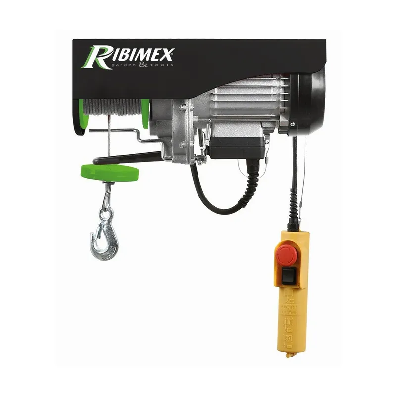 Palan électrique 100/200 kg – levage motorisé pour atelier ou chantier