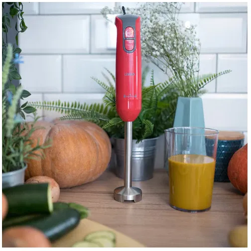 Mixeur plongeant Livoo 400W 2LAME ACIER INOX + BOL GRADUE ROUGE