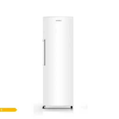 Congélateur armoire 247L