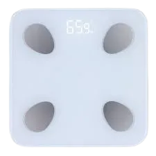 Pèse-personne connecté 180 kg / précision 100 g