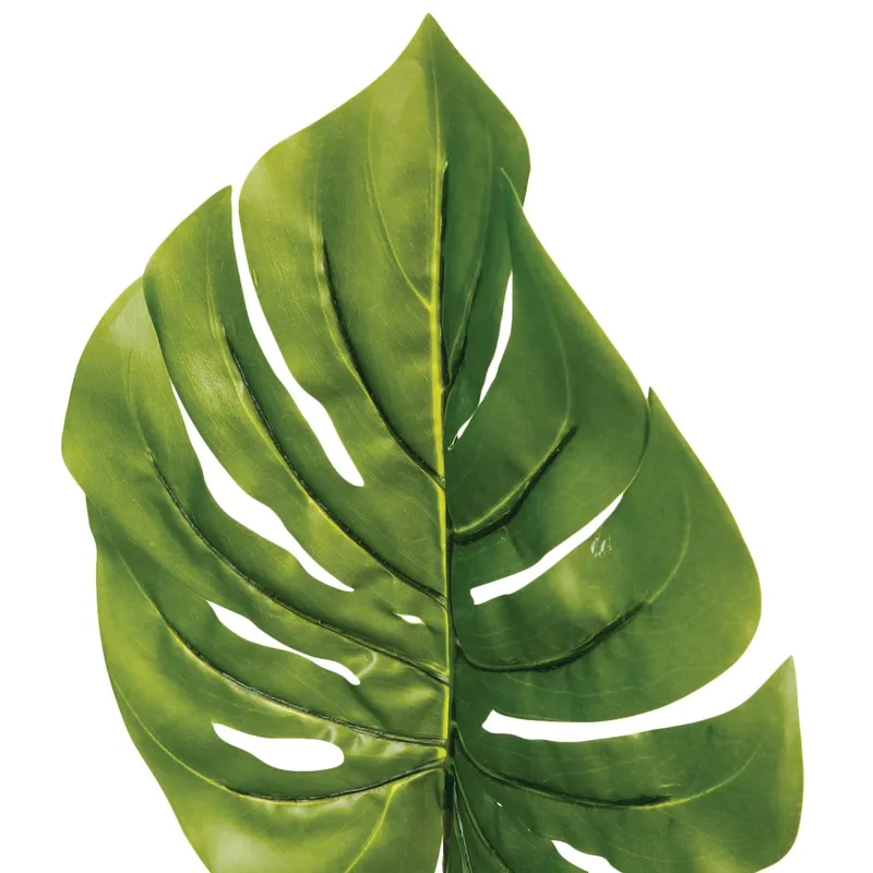Tige philo monstera H90CM poly fer plastique