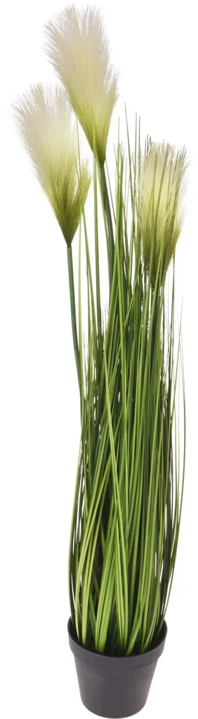 Plante en pot pp 85CM