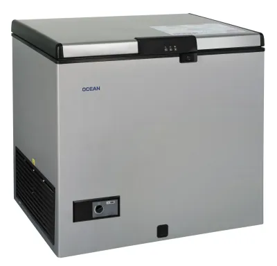 Congélateur coffre 165 L – Classe A+ – Coloris Silver – NJ31TGS3