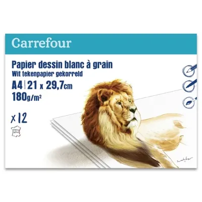 Papier à dessin 180 g A4 blanc lot de 12 feuilles