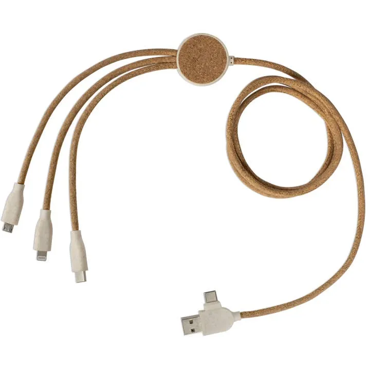 Câble de charge multi-embout universel