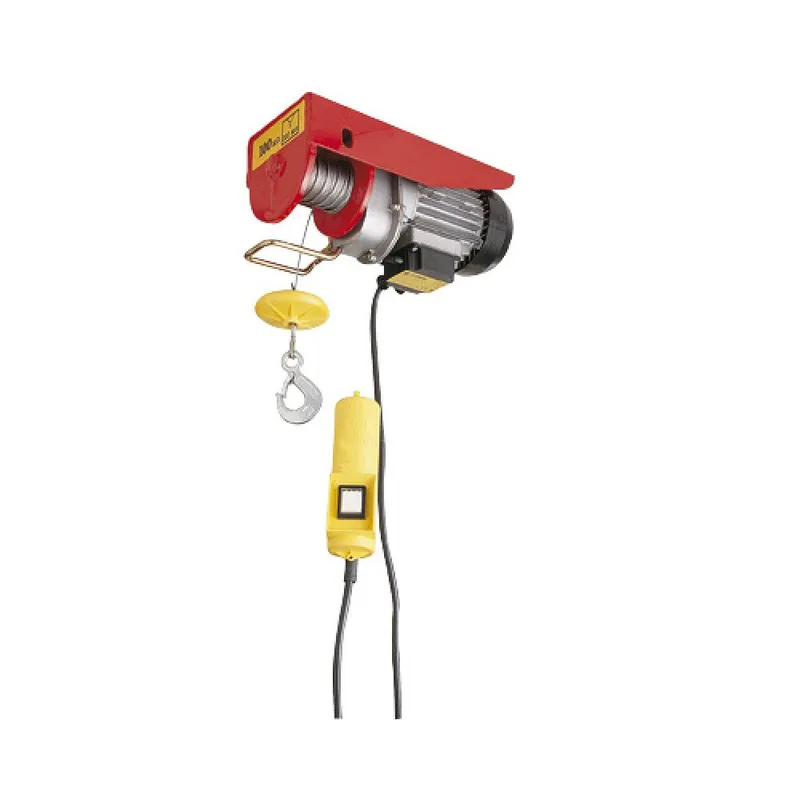 Palan électrique double capacité 495/990 kg
