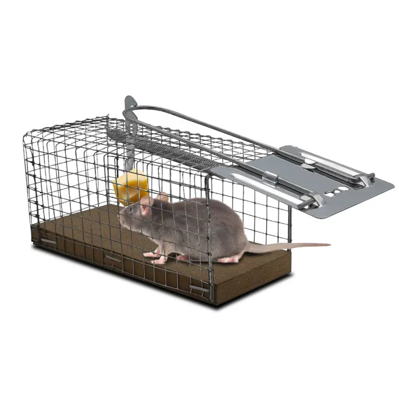 Nasse à souris – piège de capture sans tuer pour rongeurs