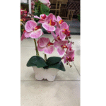 Fleur 1009F