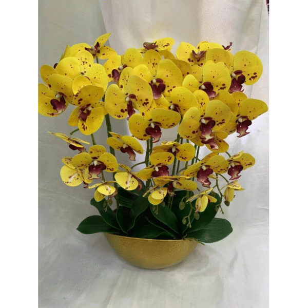 Fleur B200