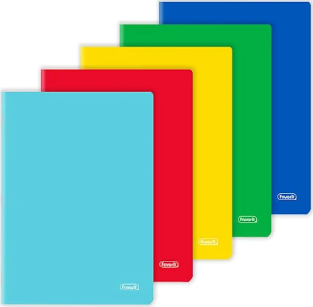 Cahiers format A4 (21x29.7cm)