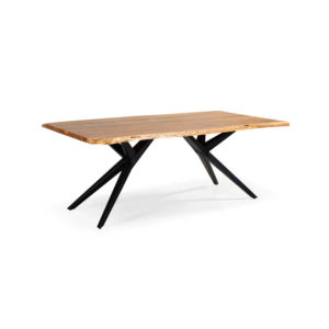 Table en Bois massif / 16245